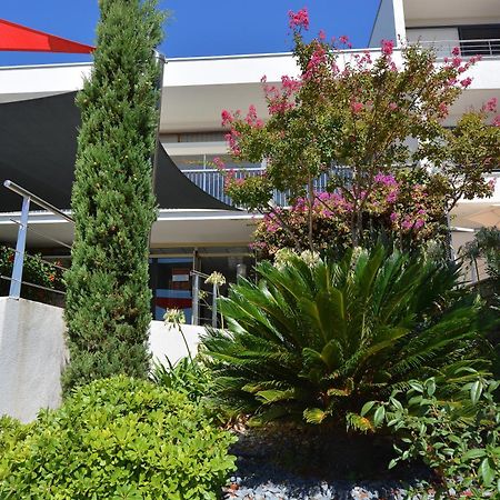 Hotel Les Eucalyptus Porto Pollo Exterior photo