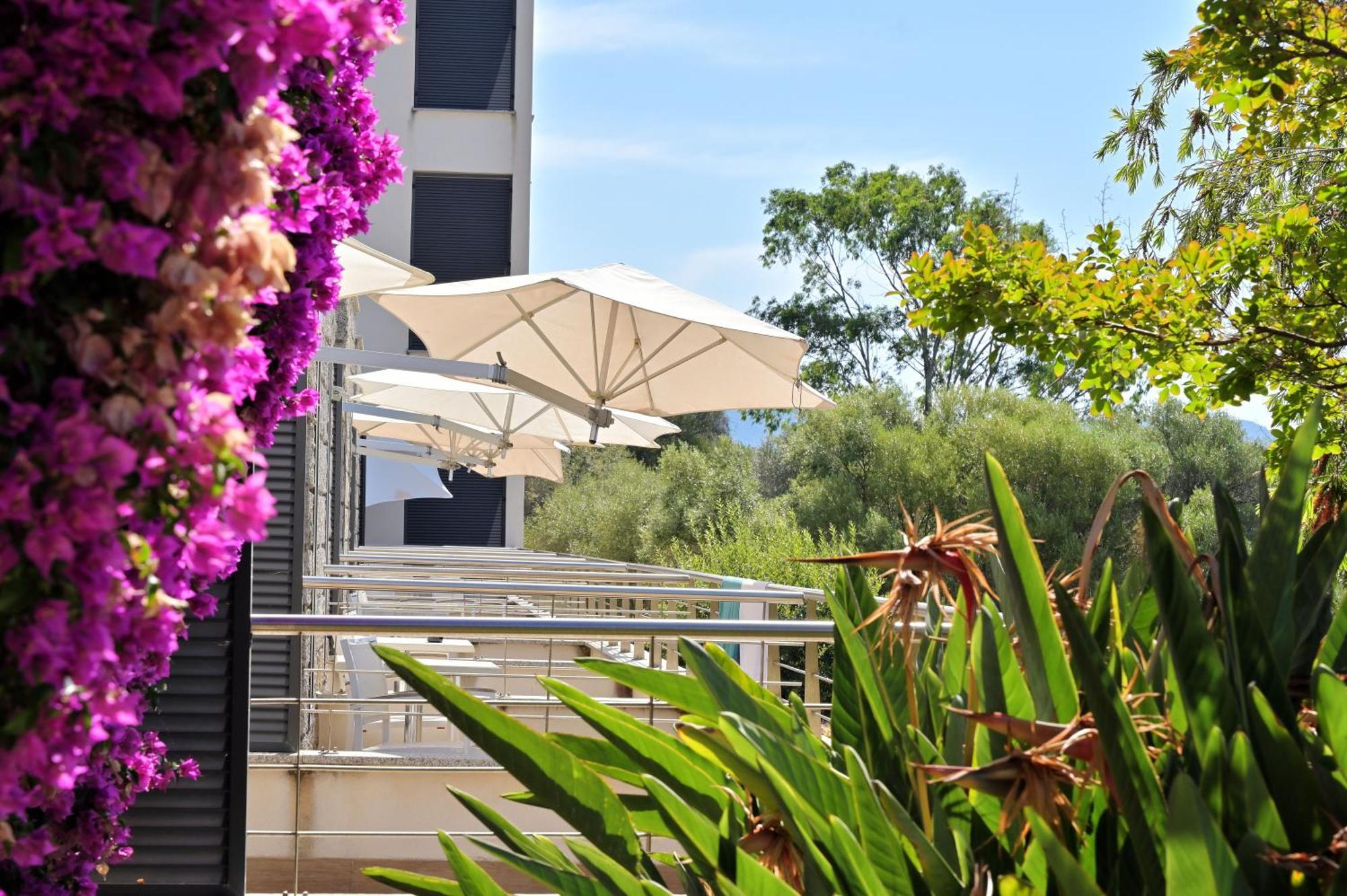 Hotel Les Eucalyptus Porto Pollo Exterior photo