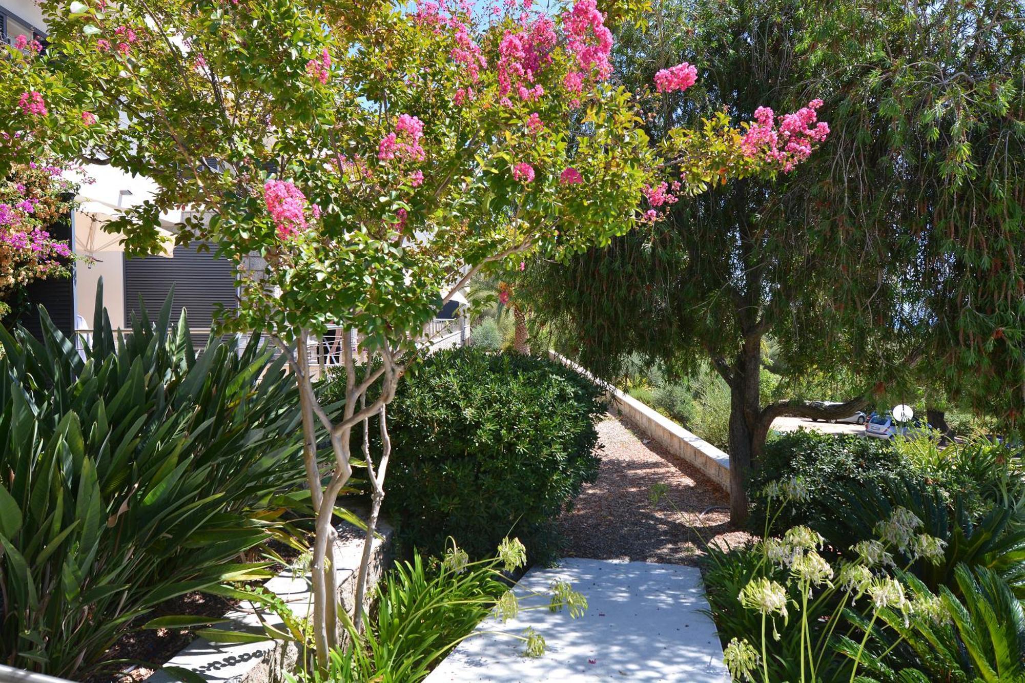 Hotel Les Eucalyptus Porto Pollo Exterior photo